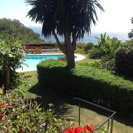 Villaquinta Ла-Эррадура Экстерьер фото